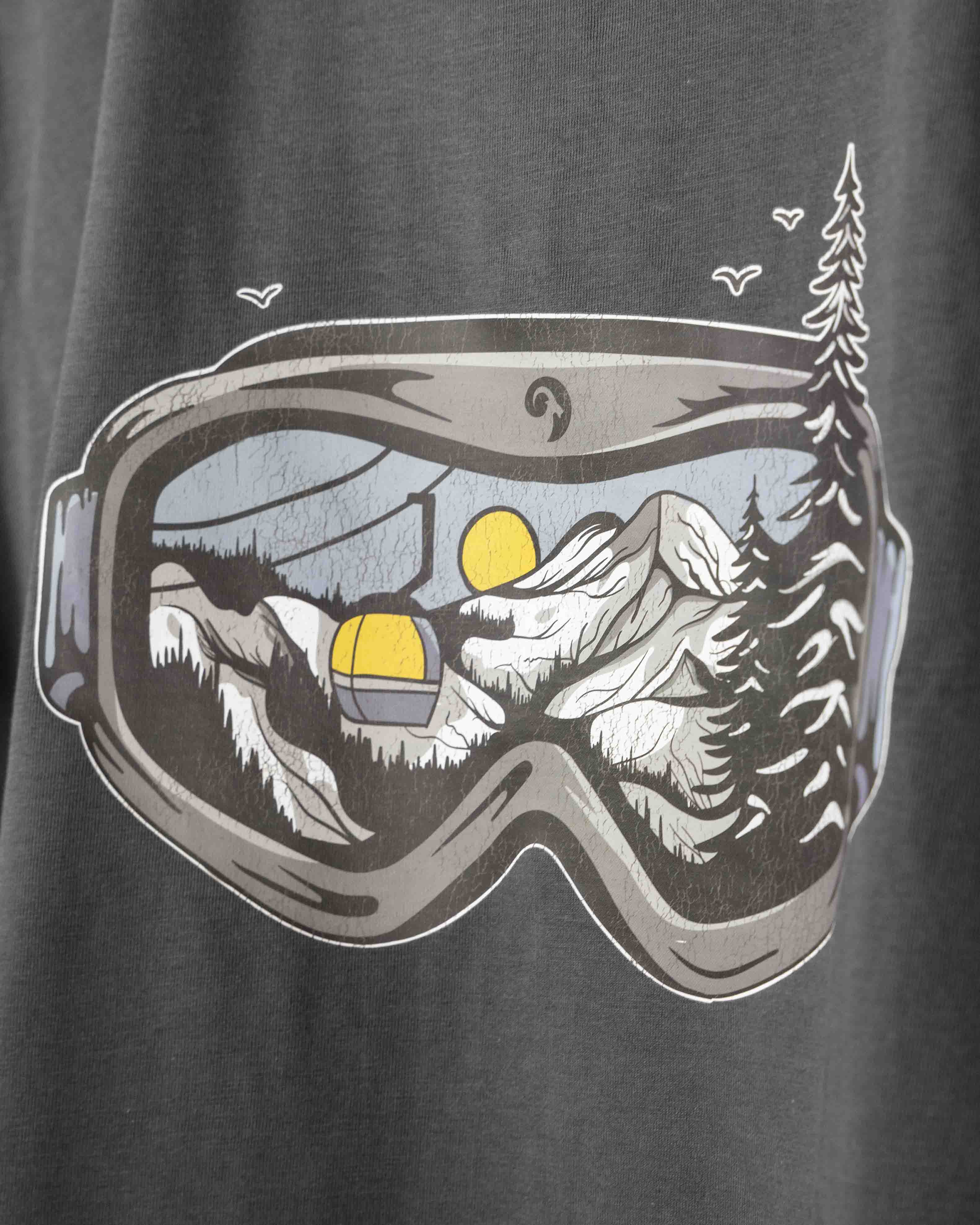 skibrille,shirt,herren,alpen,alpsland,wandern,berge,natur