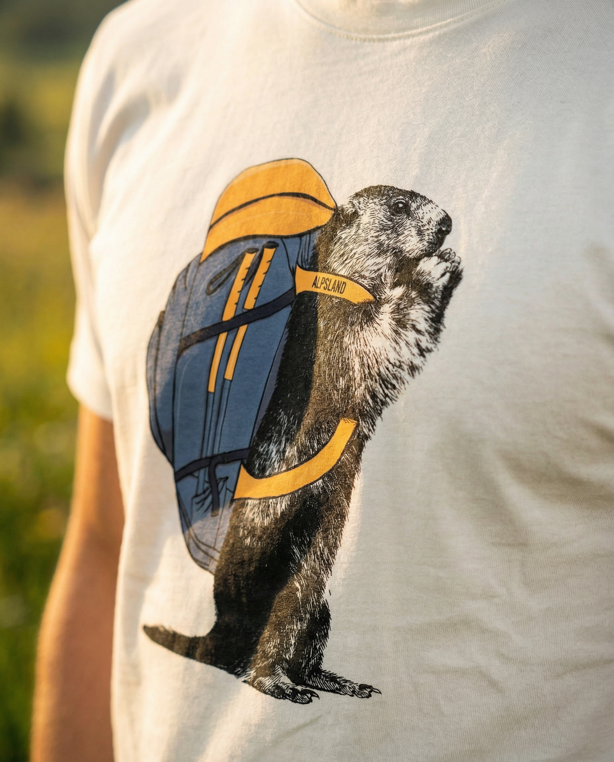 Wander-Murmeltier Herren Bio T-Shirt – Alpsland – Wandern, Berge, Alpen, Murmeltier