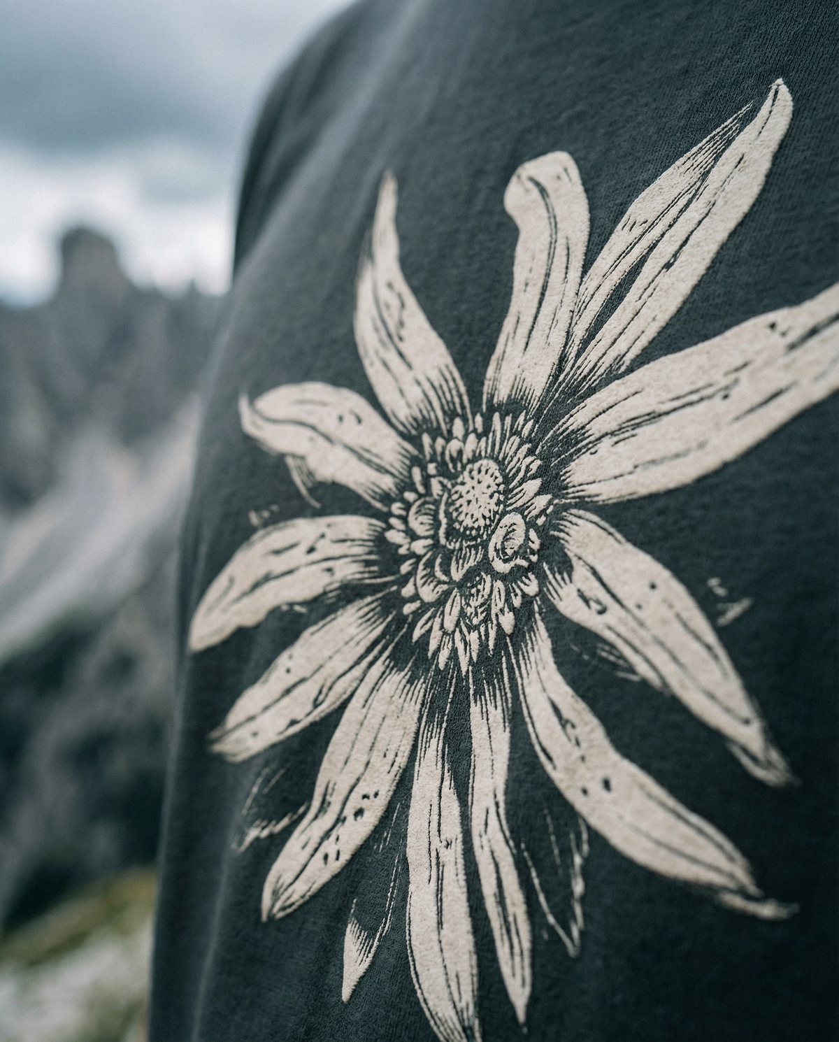 Edelweiß Herren Bio T-Shirt – Alpsland – Wandern, Edelweiß, Alpen, Blumen