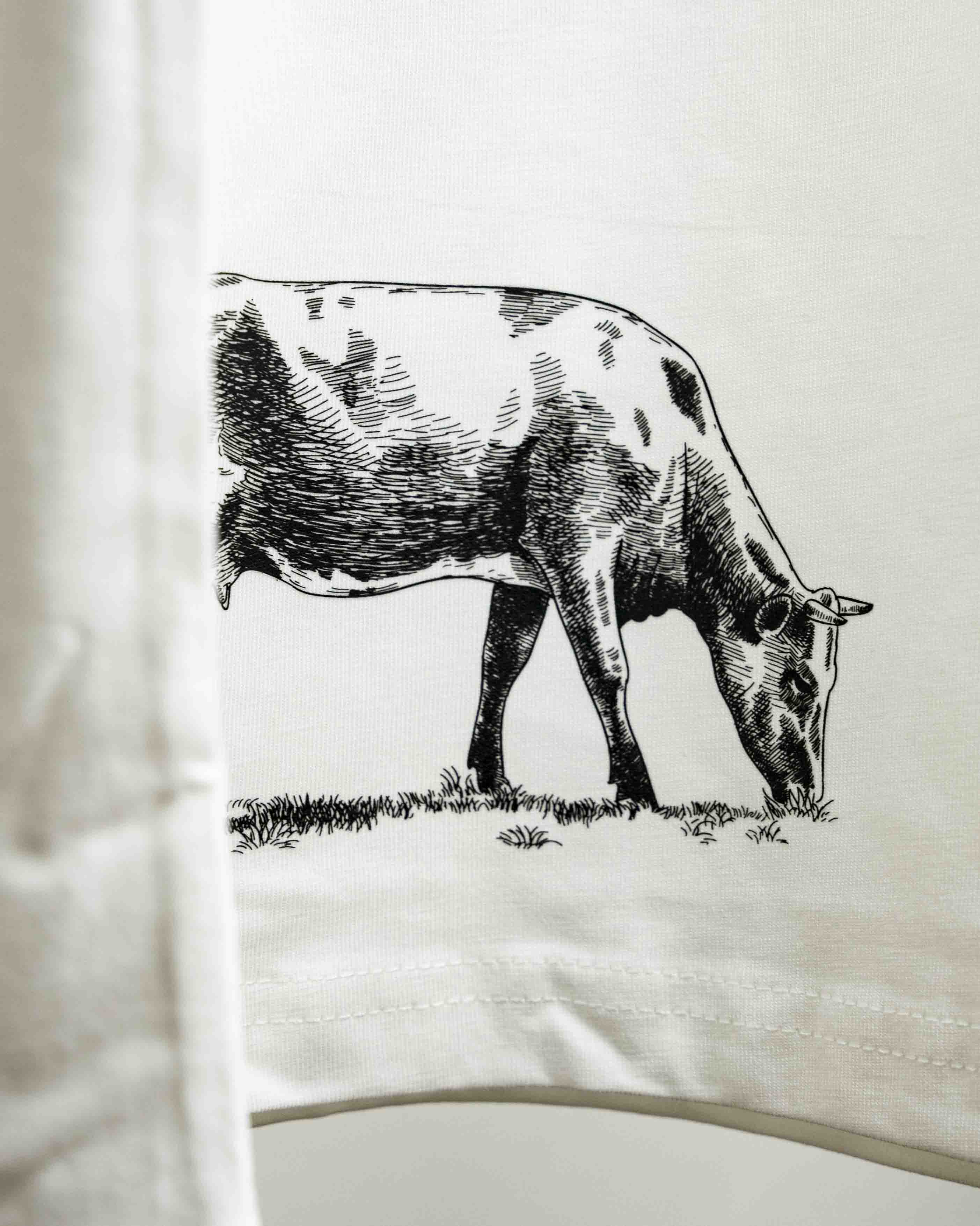 kuh,berge,natur,wandern,shirt,herren,bergsteigen